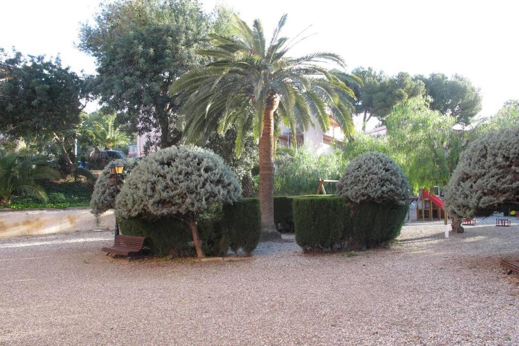 In Front Of Arrabassada Appartement *
