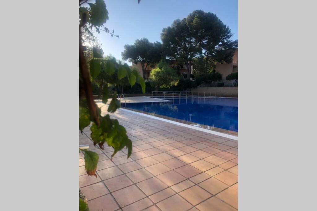 Apartment In Front Of Arrabassada *